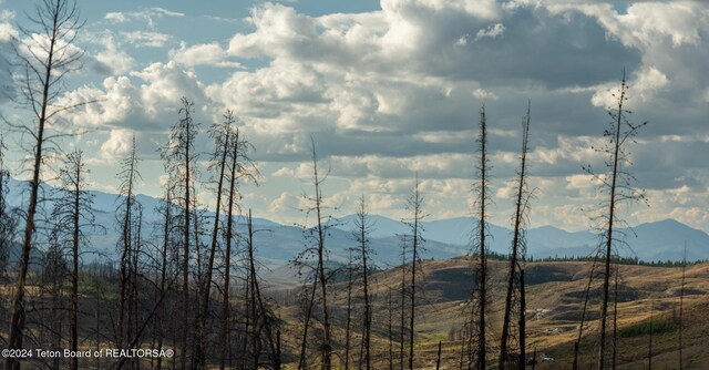 TRACT17 Fisherman Creek Rd, Bondurant, WY 82922 - photo 13