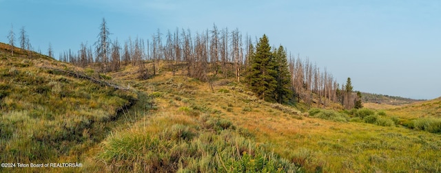 TRACT17 Fisherman Creek Rd, Bondurant, WY 82922 - photo 21
