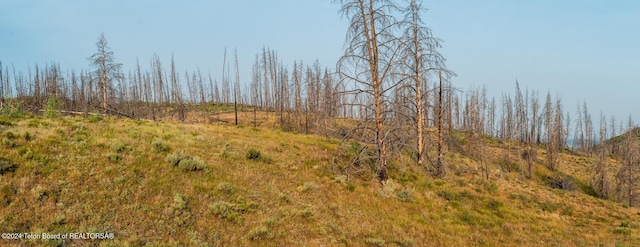 TRACT17 Fisherman Creek Rd, Bondurant, WY 82922 - photo 22