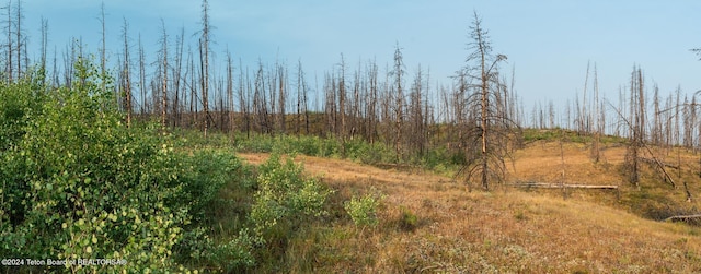 TRACT17 Fisherman Creek Rd, Bondurant, WY 82922 - photo 24