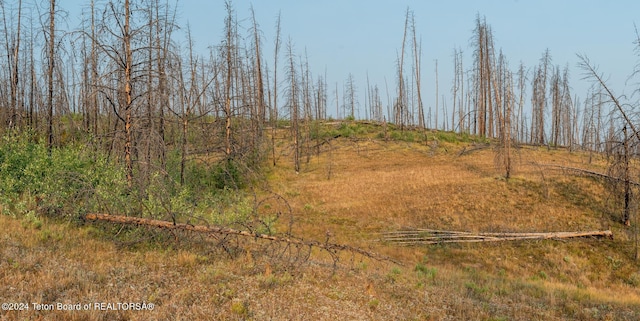 TRACT17 Fisherman Creek Rd, Bondurant, WY 82922 - photo 25