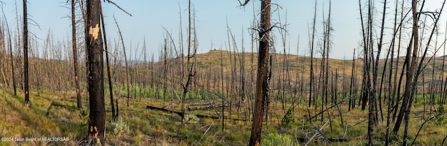 TRACT17 Fisherman Creek Rd, Bondurant, WY 82922 - photo 26