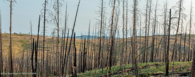 TRACT17 Fisherman Creek Rd, Bondurant, WY 82922 - photo 28