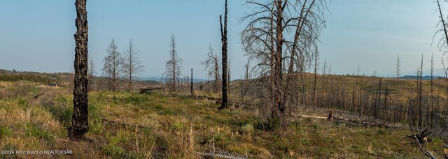 TRACT17 Fisherman Creek Rd, Bondurant, WY 82922 - photo 29