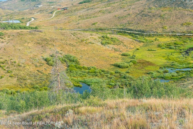 TRACT17 Fisherman Creek Rd, Bondurant, WY 82922 - photo 17