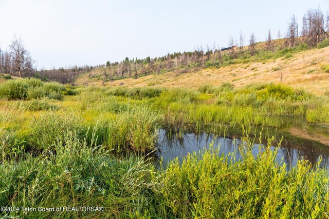TRACT17 Fisherman Creek Rd, Bondurant, WY 82922 - photo 10
