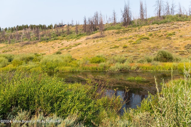 TRACT17 Fisherman Creek Rd, Bondurant, WY 82922 - photo 6