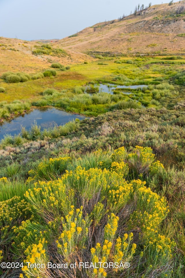 TRACT17 Fisherman Creek Rd, Bondurant, WY 82922 - photo 12