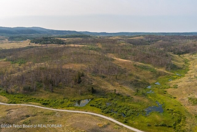 TRACT17 Fisherman Creek Rd, Bondurant, WY 82922 - photo 43