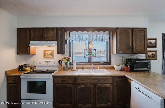 kitchen featuring sink, a textured ceiling, dark brown cabinets, and white appliances