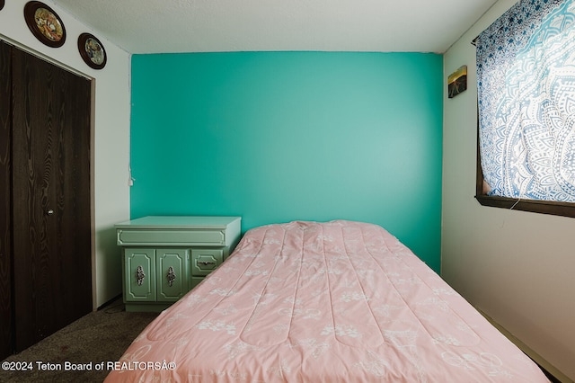 carpeted bedroom featuring a closet