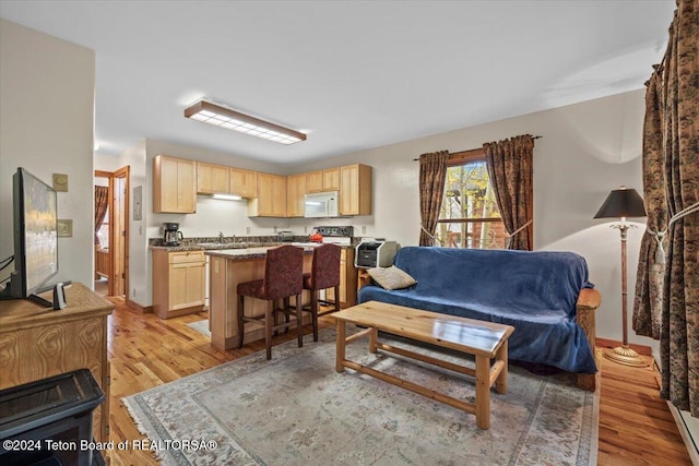 living room featuring sink and light wood-type flooring