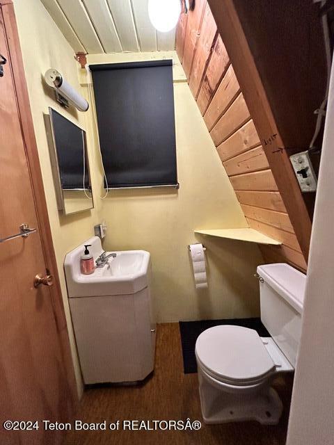 7 Jack Pine Rd, Jackson, WY 83001 - photo 21