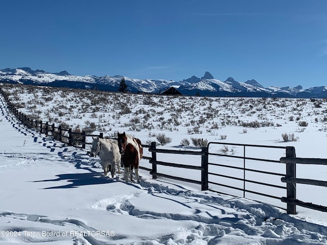 mountain view featuring a rural view