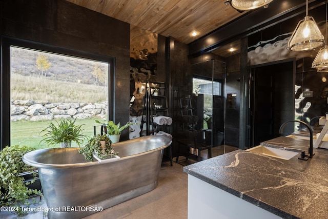 interior space featuring a bath, wooden ceiling, sink, and a wealth of natural light