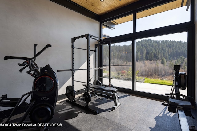 workout area featuring wooden ceiling and a wealth of natural light