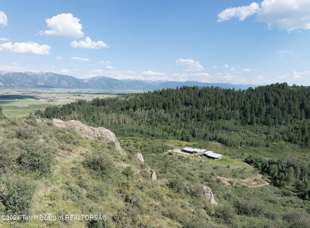 view of mountain feature