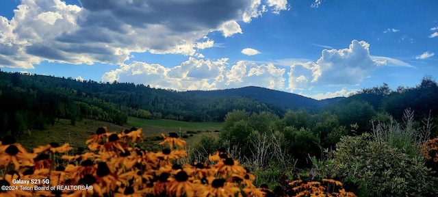 view of mountain feature