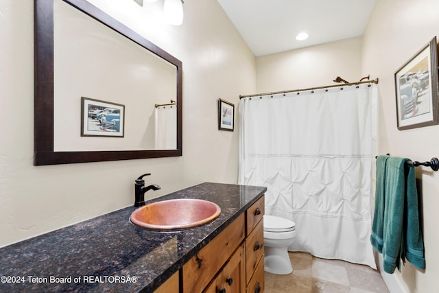 bathroom with toilet and vanity