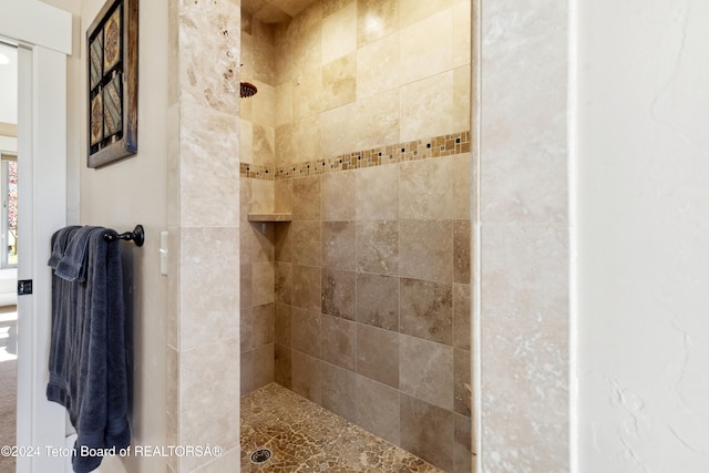 bathroom with tiled shower