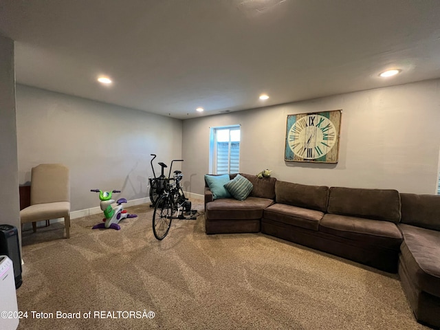 living room featuring carpet