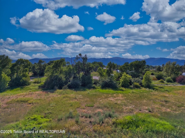 150 W Dogwood St, Victor, ID 83455 - photo 14