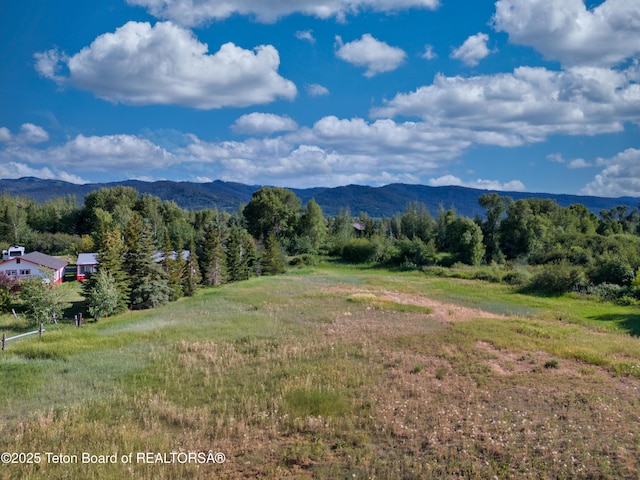 150 W Dogwood St, Victor, ID 83455 - photo 8