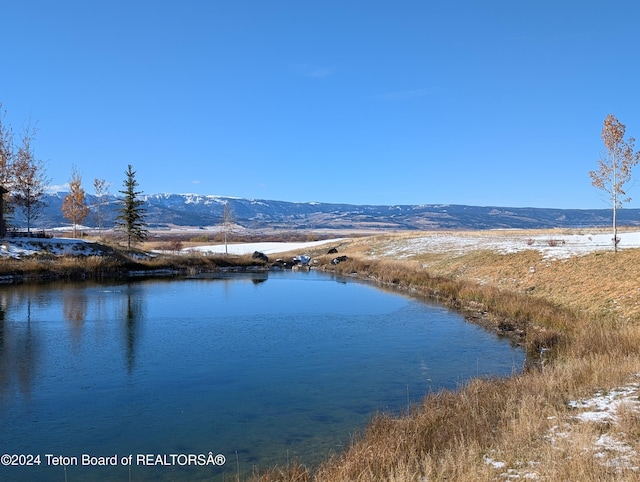 1135 Shasta Daisy Ct, Driggs, ID 83422