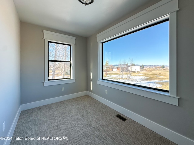 view of carpeted spare room