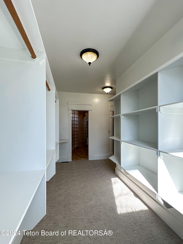 spacious closet with carpet floors