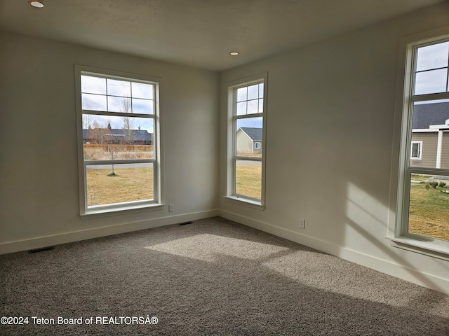 carpeted spare room with a wealth of natural light