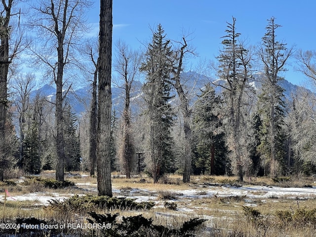 Listing photo 3 for 250 E Phelps Canyon Rd, Jackson WY 83001