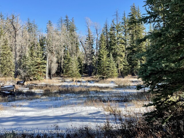 250 E Phelps Canyon Rd, Jackson, WY 83001 - photo 6