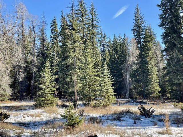 250 E Phelps Canyon Rd, Jackson, WY 83001 - photo 5