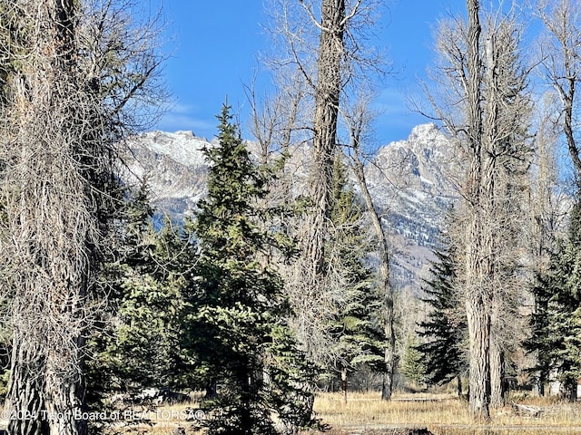 250 E Phelps Canyon Rd, Jackson, WY 83001 - photo 4