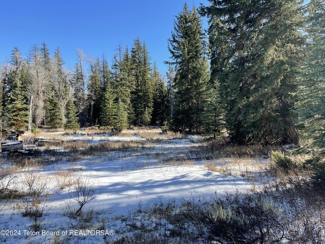 250 E Phelps Canyon Rd, Jackson, WY 83001 - photo 7