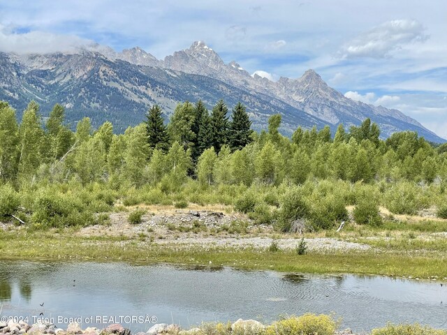 250 E Phelps Canyon Rd, Jackson, WY 83001 - photo 9