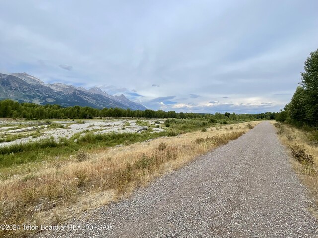 250 E Phelps Canyon Rd, Jackson, WY 83001 - photo 11
