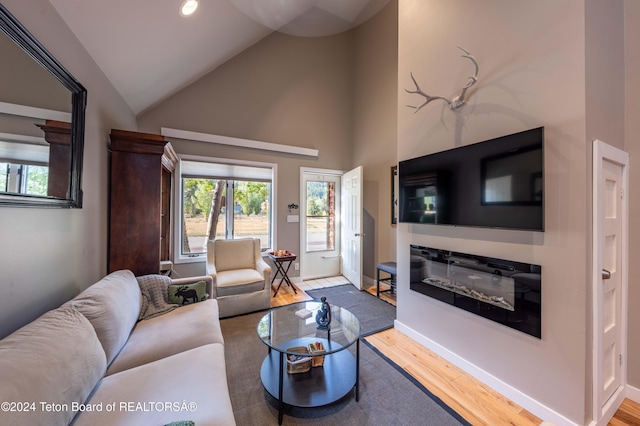 living room with wood-type flooring and high vaulted ceiling