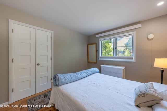 bedroom featuring a closet and hardwood / wood-style flooring