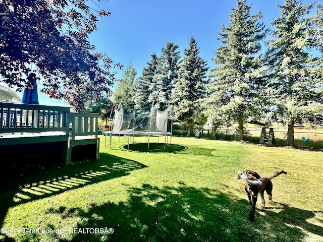 view of yard with a trampoline and a wooden deck