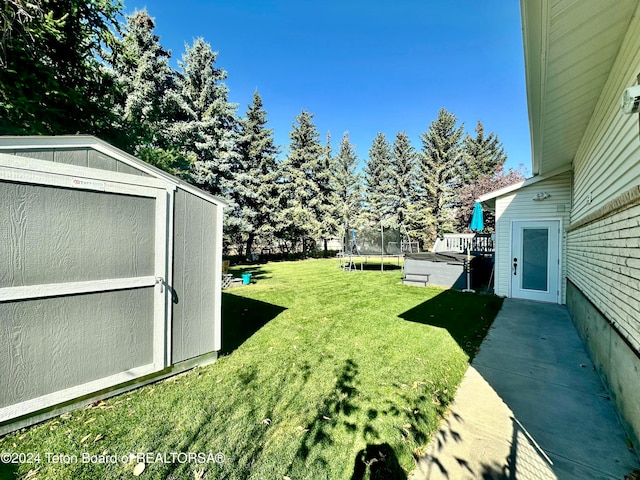 view of yard with a storage unit and a trampoline