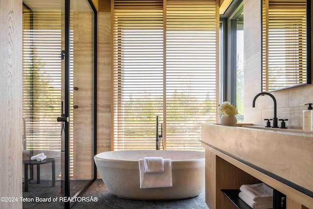 bathroom with vanity and a bathtub