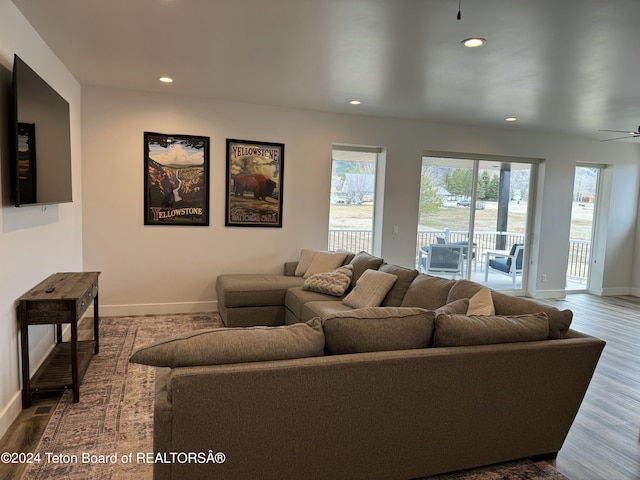 living room with ceiling fan and hardwood / wood-style flooring