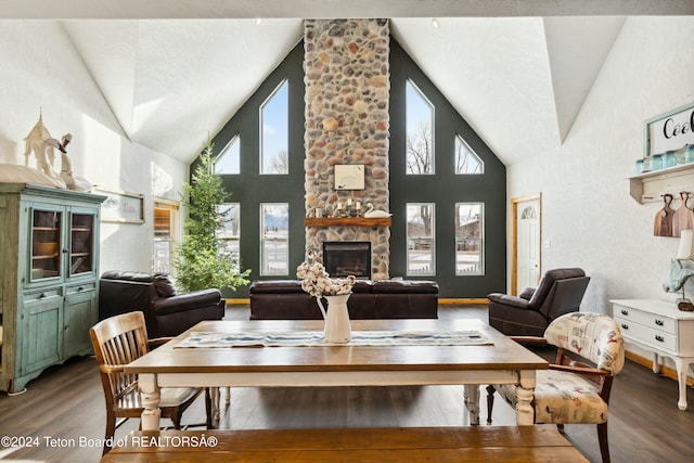 living room with a stone fireplace, wood-type flooring, and high vaulted ceiling