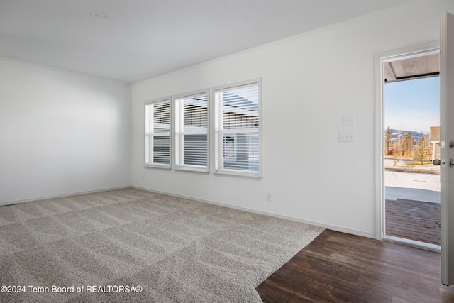 spare room featuring wood-type flooring