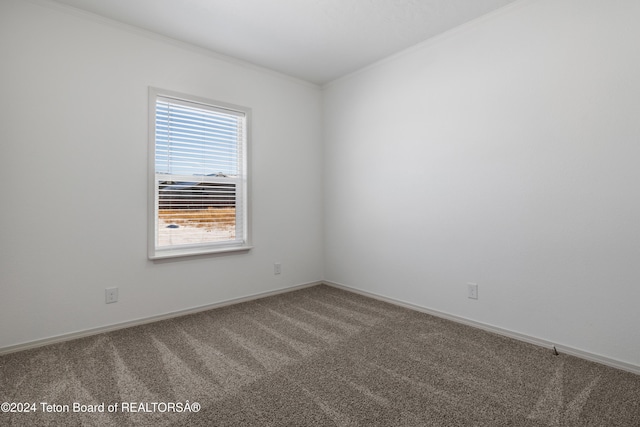 3829 Spruce Rd, Driggs, ID 83422 - carpeted spare room with ornamental molding and baseboards