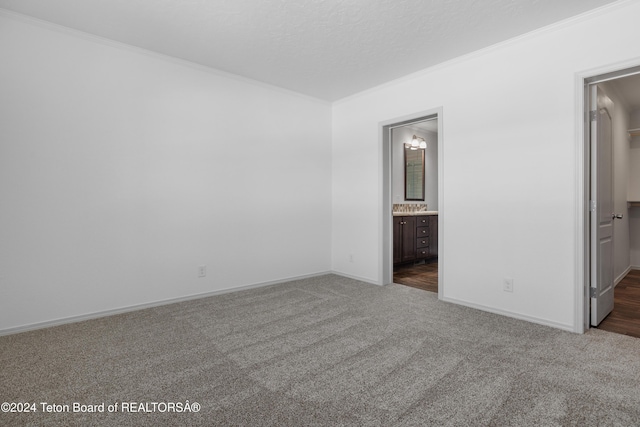 carpeted spare room with a textured ceiling and crown molding