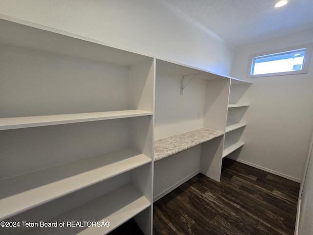 3829 Spruce Rd, Driggs, ID 83422 - spacious closet with dark wood-style floors