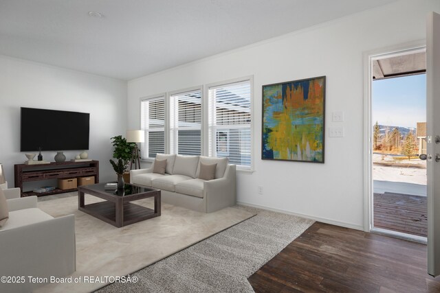 3829 Spruce Rd, Driggs, ID 83422 - living room featuring plenty of natural light, wood finished floors, and crown molding
